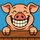 Krister