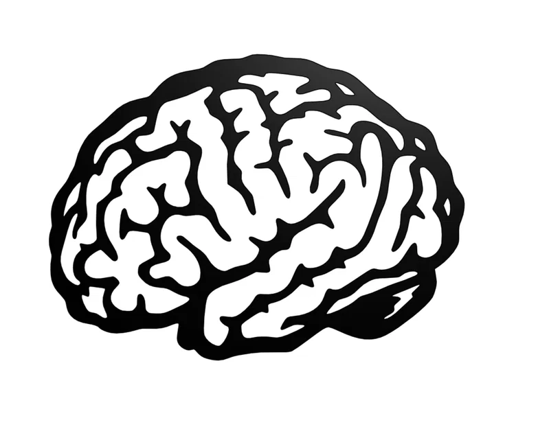 Mô hình treo tường hình não bộ (Brain Wall Art) in 3D cực chất - Image 1