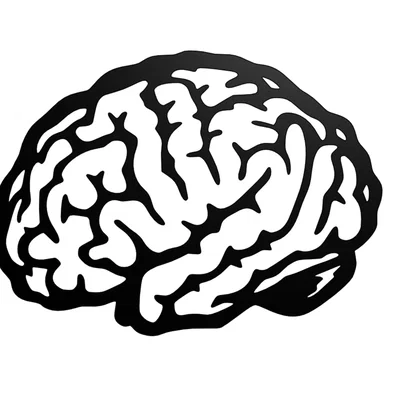 Mô hình treo tường hình não bộ (Brain Wall Art) in 3D cực chất