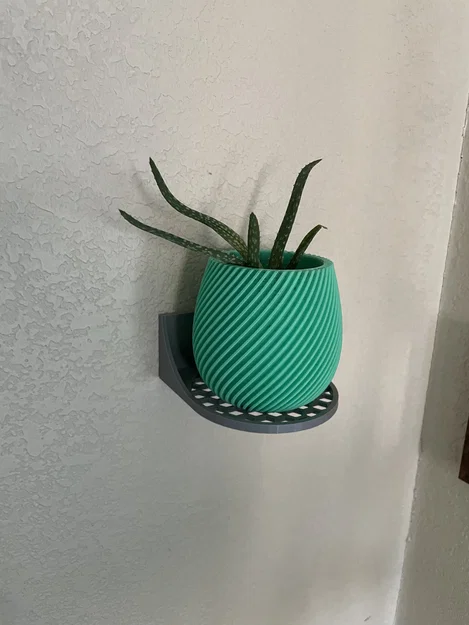 Kệ Treo Tường - Honeycomb Tròn - Image 2