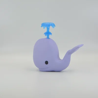 Whally the Whale – Cá voi Whally dễ thương
