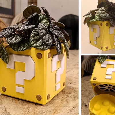 Chậu Treo Tường Super Mario (Super Mario Wall Planter)