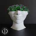 Chậu cây 3D Smile 01: Thiết kế trang trí hình mặt người độc đáo - Thumbnail 1