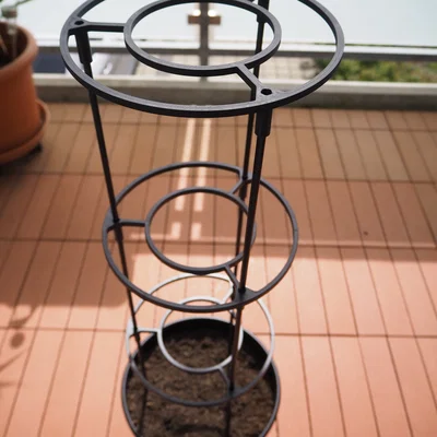 Giá đỡ cây vững chắc cho cà chua hoặc rau thơm