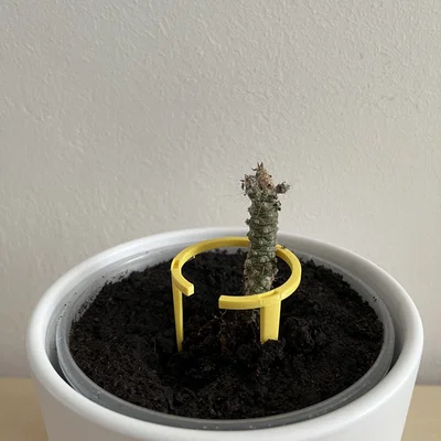 Khung đỡ cây cảnh xếp chồng (Stackable plant support) cho sen đá, xương rồng