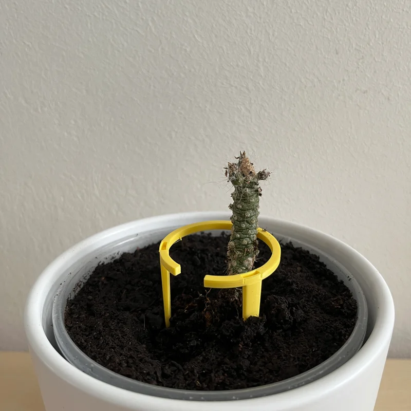 Khung đỡ cây cảnh xếp chồng (Stackable plant support) cho sen đá, xương rồng