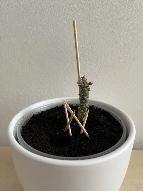 Khung đỡ cây cảnh xếp chồng (Stackable plant support) cho sen đá, xương rồng - Image 3