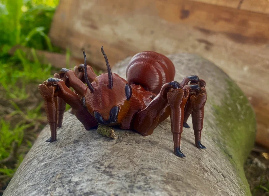 Mô hình kiến Flexi Ant in 3D linh hoạt không cần hỗ trợ - Image 2