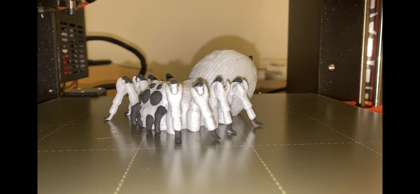 Mô hình nhện Flexi Spider linh hoạt - In 3D không cần support - Image 2