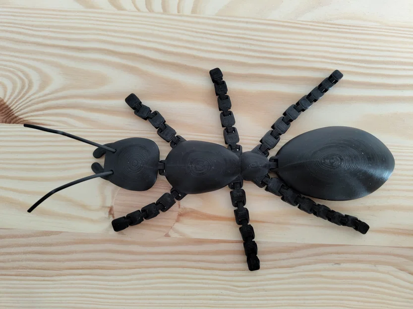 Kiến khớp nối (Articulated Ant) - Image 3
