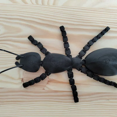 Kiến khớp nối (Articulated Ant)