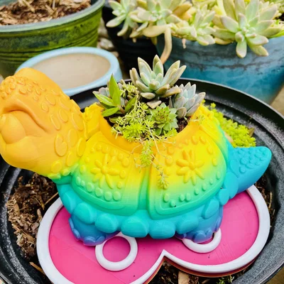 Chậu cây hình Rùa kèm Khay hứng nước (Drip Tray)