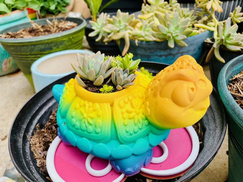Chậu cây hình Rùa kèm Khay hứng nước (Drip Tray) - Image 7