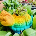 Chậu cây hình Rùa kèm Khay hứng nước (Drip Tray) - Thumbnail 13