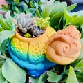 Chậu cây hình Rùa kèm Khay hứng nước (Drip Tray) - Thumbnail 14