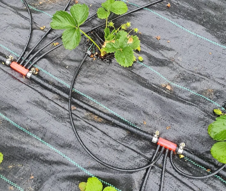 Đầu chia Gardena hub 13mm ra 4x 4,6mm - Image 3