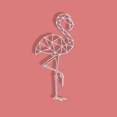 Hồng Hạc Hình Học (Geometric Flamingo)