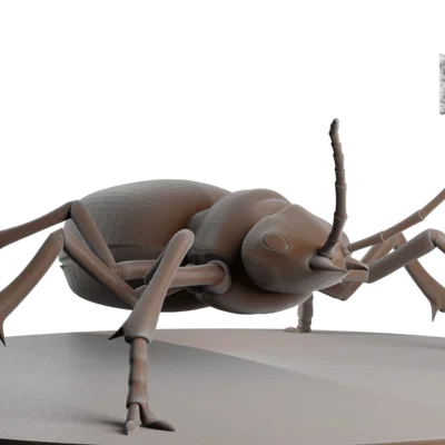 Bọ Bombardier Beetle