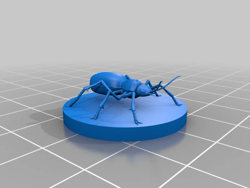 Bọ Bombardier Beetle - Image 2