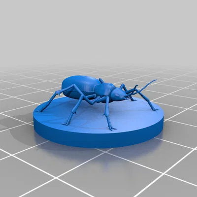 Bọ Bombardier Beetle