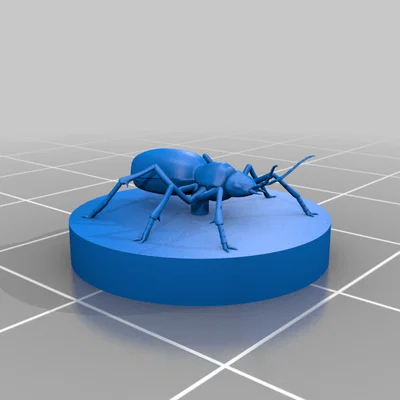 Bọ Bombardier Beetle