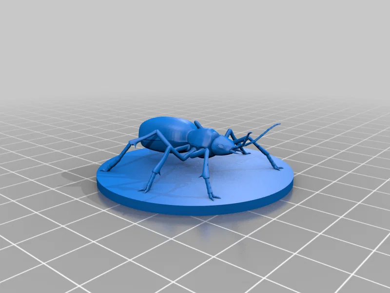 Bọ Bombardier Beetle - Image 4