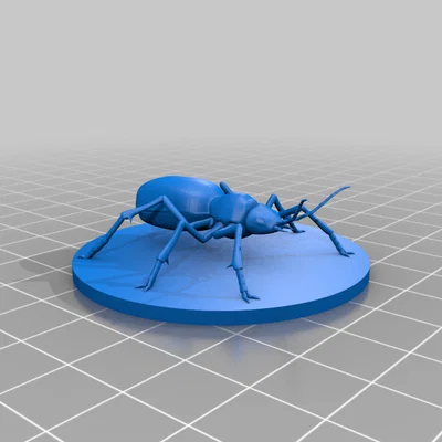 Bọ Bombardier Beetle