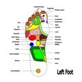 Bấm Huyệt Bàn Chân (Foot Reflexology) - Thumbnail 1