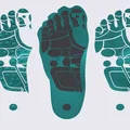 Bấm Huyệt Bàn Chân (Foot Reflexology) - Thumbnail 4