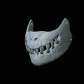 Mặt nạ hàm răng quái vật Predator độc đáo cho cosplay và Halloween - Thumbnail 1