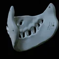 Mặt nạ hàm răng quái vật Predator độc đáo cho cosplay và Halloween - Thumbnail 5
