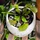 dmdesign_1815599