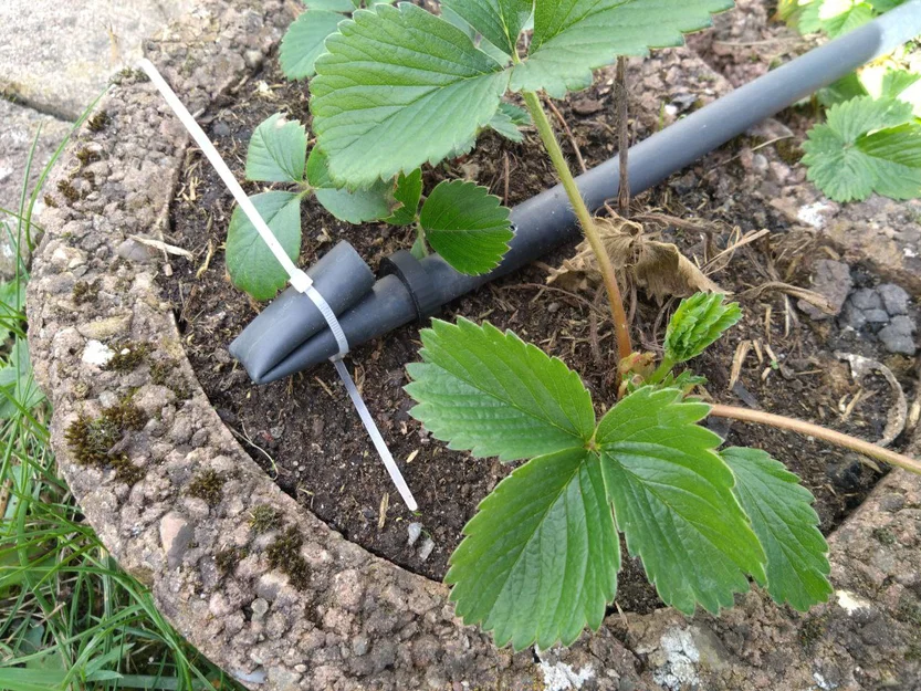 Chốt tưới (Irrigation Pegs) 16mm - Image 3
