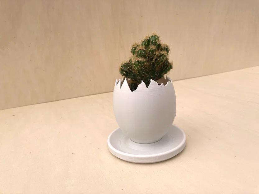 Chậu trồng cây vỏ trứng (Egg Shell planter) - Image 1