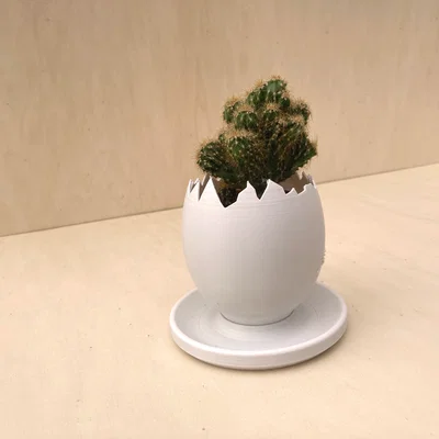 Chậu trồng cây vỏ trứng (Egg Shell planter)