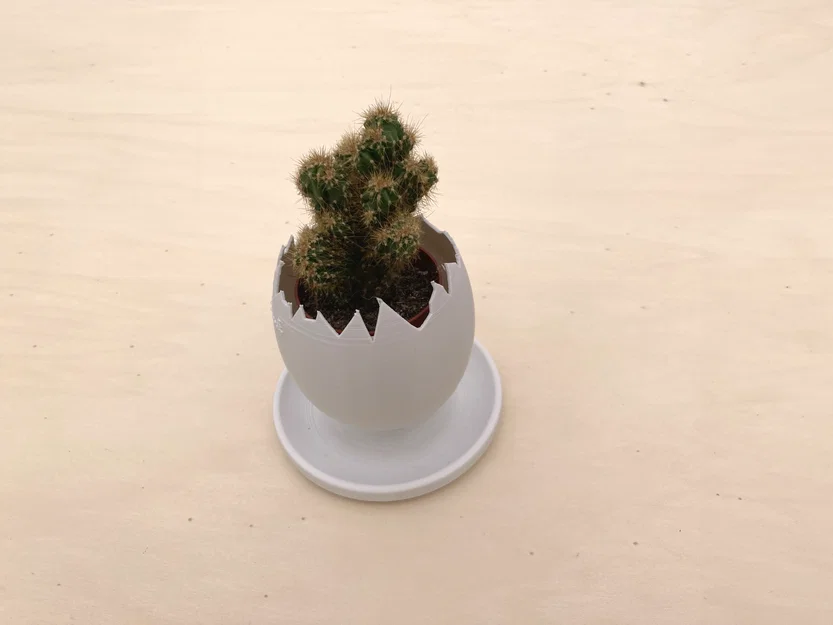 Chậu trồng cây vỏ trứng (Egg Shell planter) - Image 2