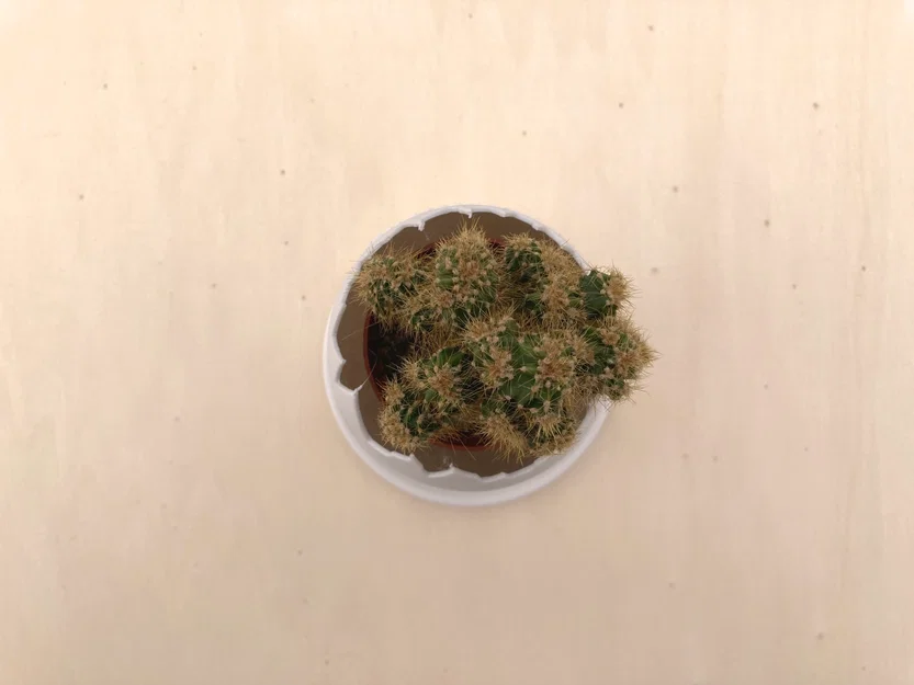 Chậu trồng cây vỏ trứng (Egg Shell planter) - Image 3