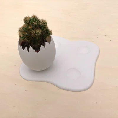 Chậu trồng cây vỏ trứng (Egg Shell planter)