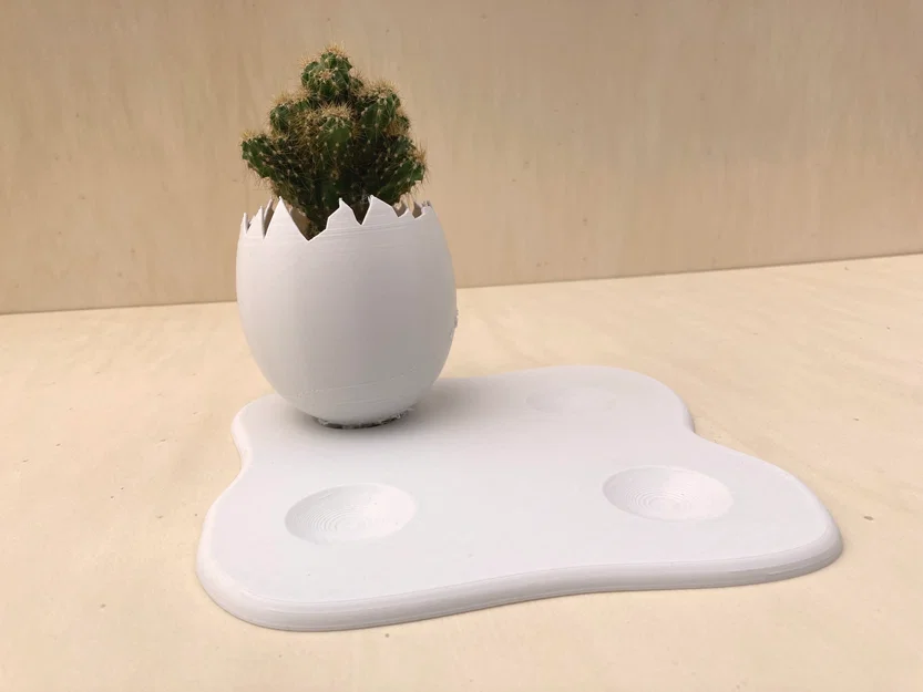 Chậu trồng cây vỏ trứng (Egg Shell planter) - Image 5