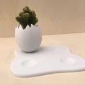 Chậu trồng cây vỏ trứng (Egg Shell planter) - Thumbnail 5