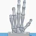 Móc treo chìa khóa hình bàn tay xương in 3D độc lạ - Thumbnail 2