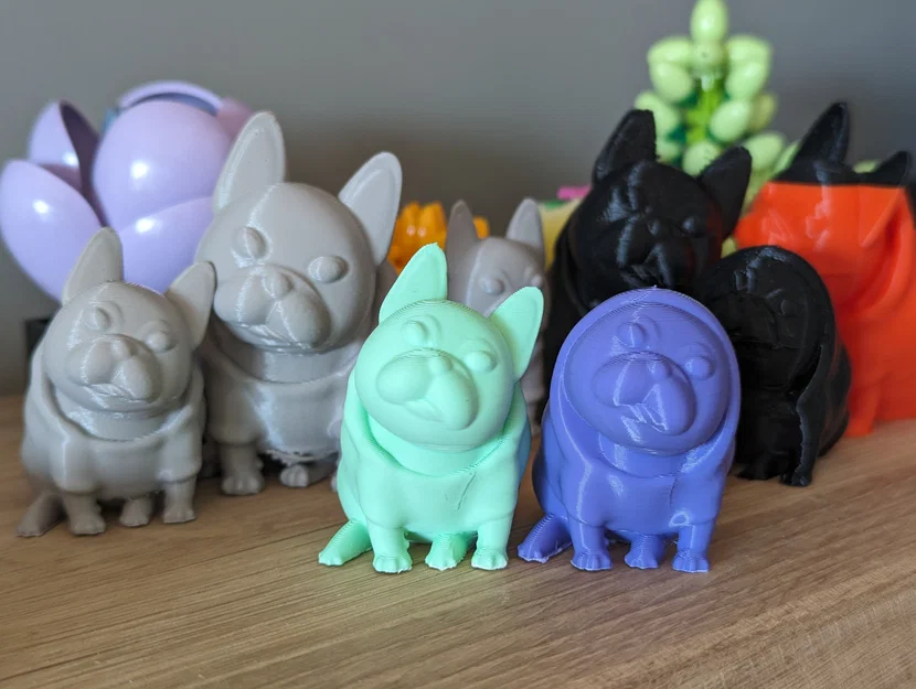 Josy – Chó French Bulldog (Bulldog Pháp) - Image 1