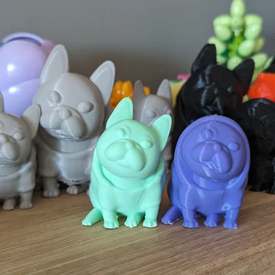Josy – Chó French Bulldog (Bulldog Pháp)