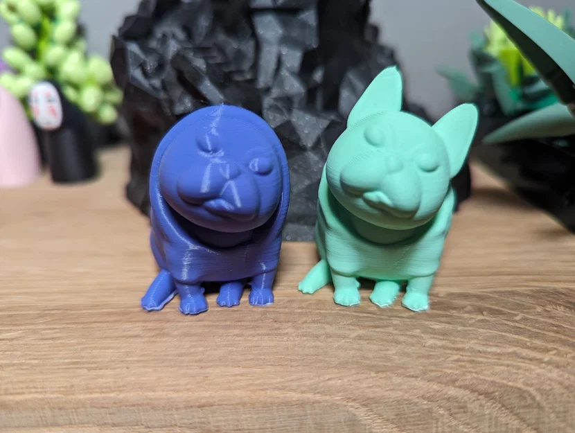 Josy – Chó French Bulldog (Bulldog Pháp) - Image 2