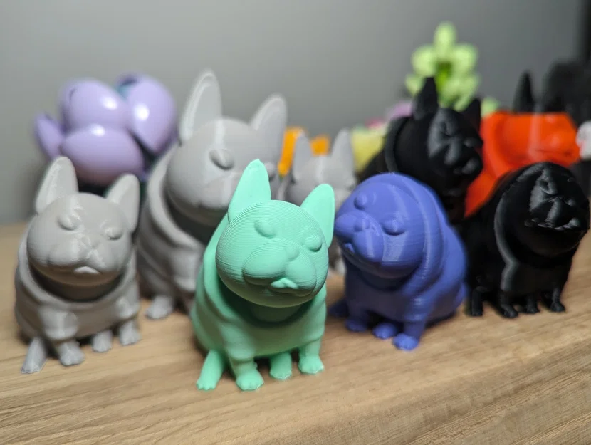 Josy – Chó French Bulldog (Bulldog Pháp) - Image 4