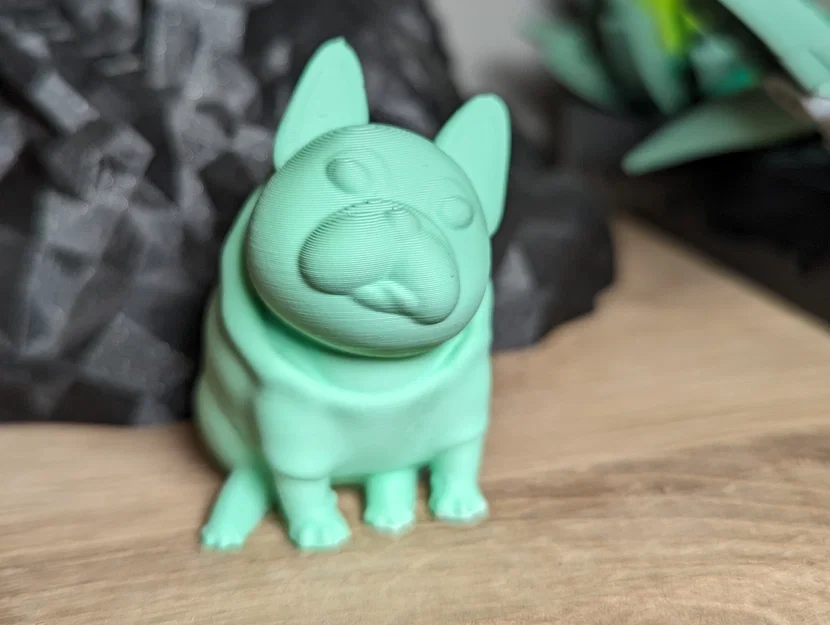 Josy – Chó French Bulldog (Bulldog Pháp) - Image 5