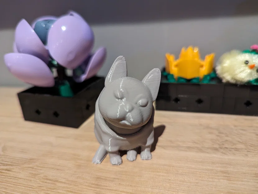 Josy – Chó French Bulldog (Bulldog Pháp) - Image 7