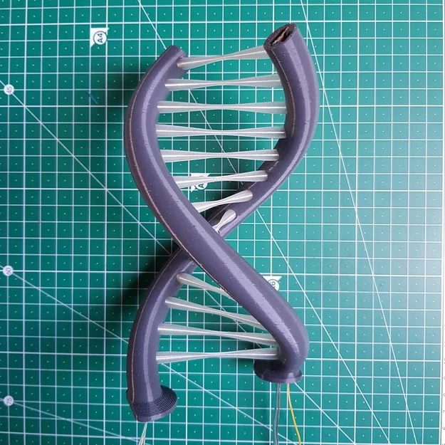 Đèn RGB Double Helix - easyprint - Image 33