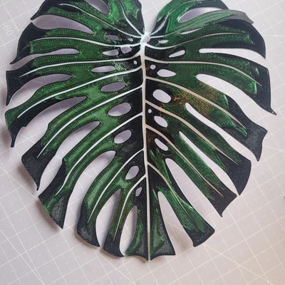 Monstera - Đa Màu | Đa Lớp (Đổi Màu Thủ Công)