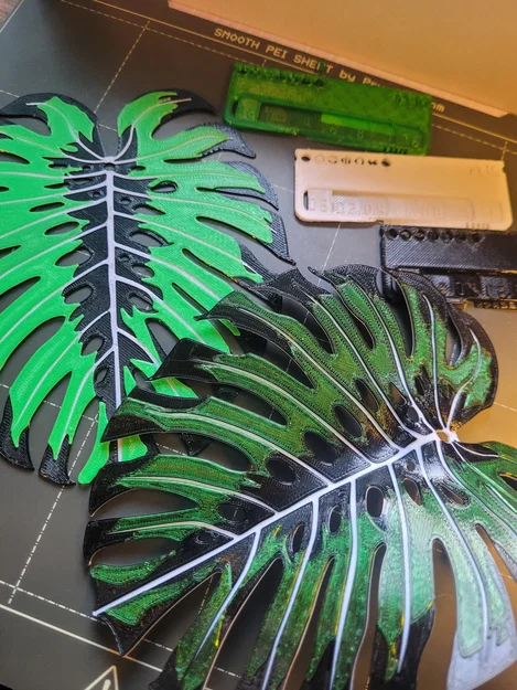 Monstera - Đa Màu | Đa Lớp (Đổi Màu Thủ Công) - Image 2